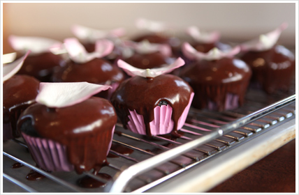 chocolate-cupcakes-2