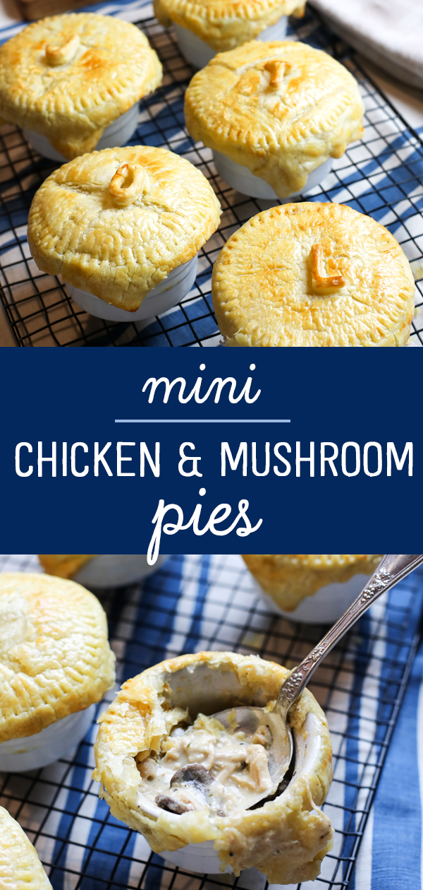 mini chicken and mushroom pies