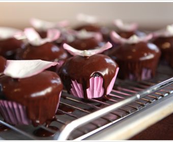 Perfect chocolate cupcakes recipe