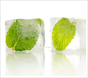 mint-icecube
