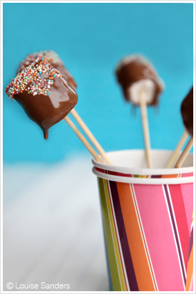 Dipped Chocolate Marshmallow Kebabs Recipe Kids Party Food Ideas